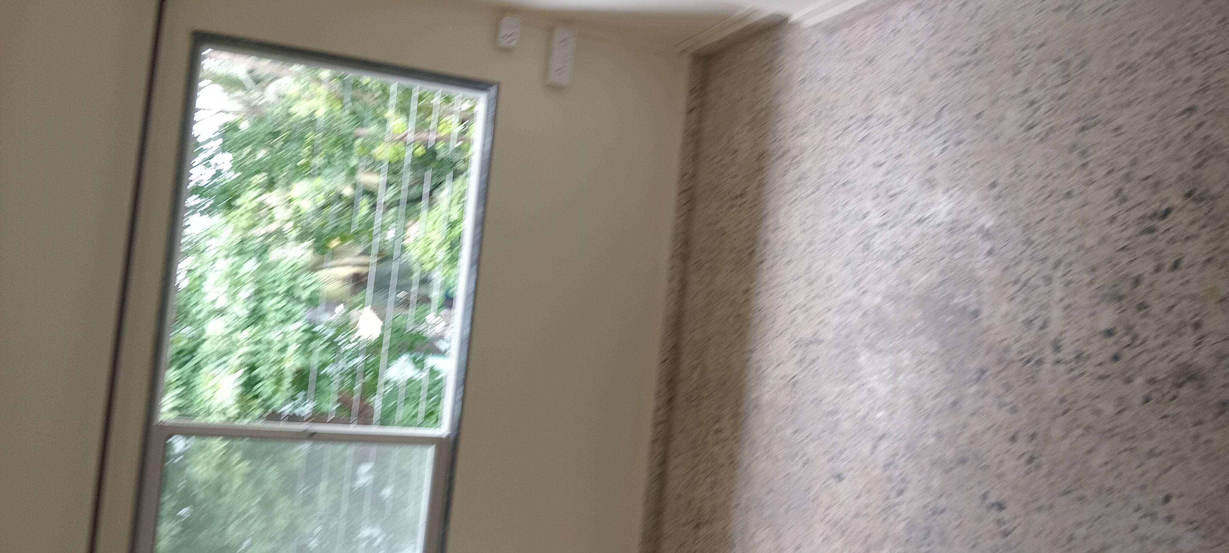 1 BHK Apartment For Rent in Gitanjali CHS