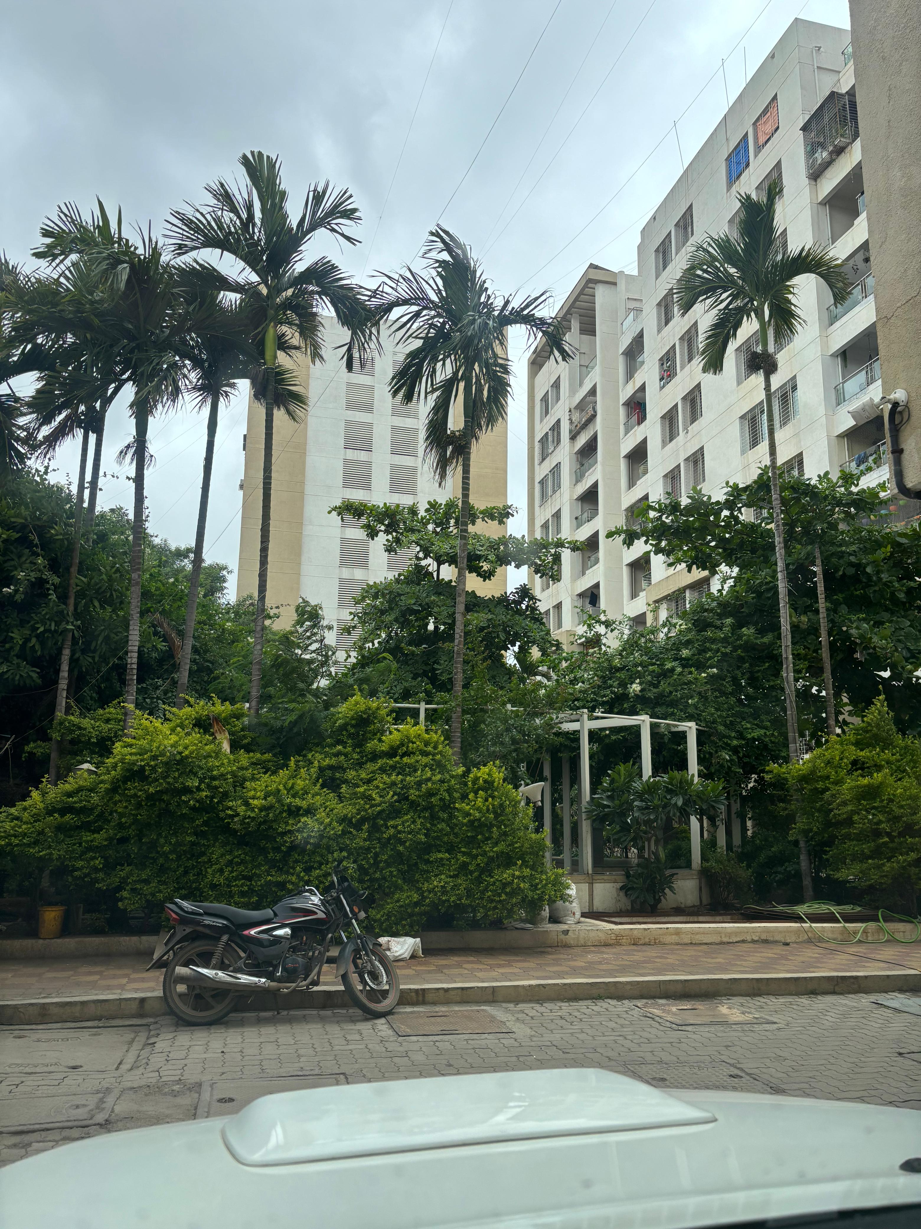 3 BHK + Extra Room Apartment For Rent in Blue Skky Olive