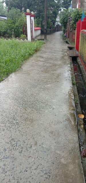  Plot – Exterior View View at Netaji Pally - for Sale