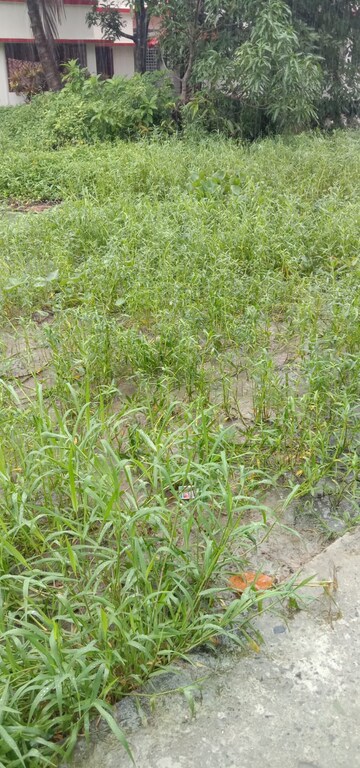  Plot For Sale in Netaji Pally