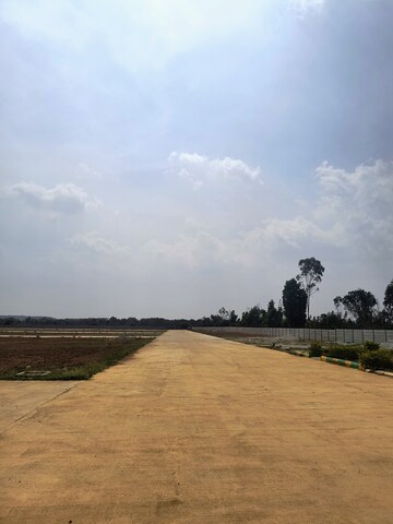 Plot Area in  Plot at Hoskote – for Sale