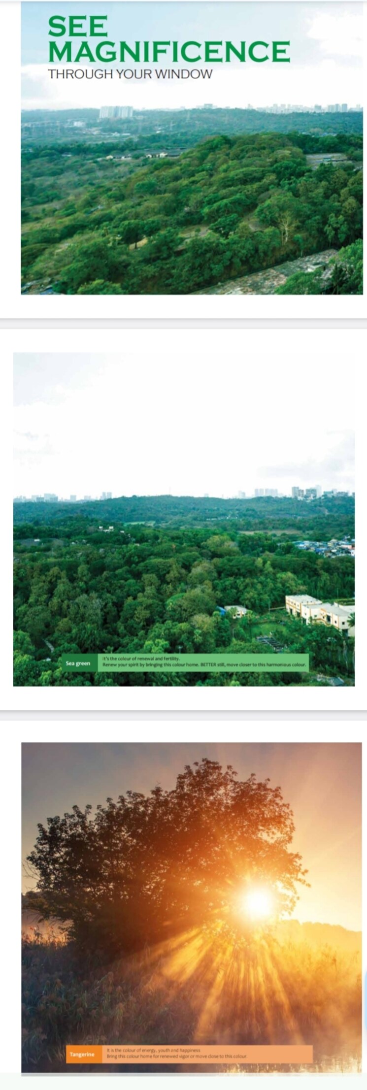 Garden, shreem-shree-krishna 2 Bedroom 600 Sq.Ft. Builder Floor In Powai Mumbai 8952137