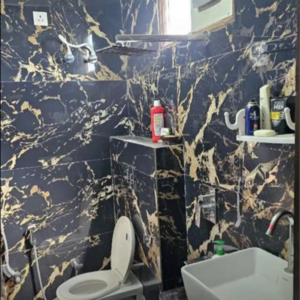 Bathroom in 3 BHK Builder Floor at New Industrial Township 1 – for Sale