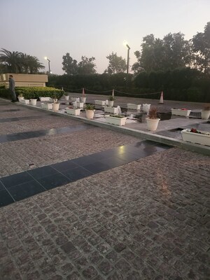  Plot For Sale in Dholera