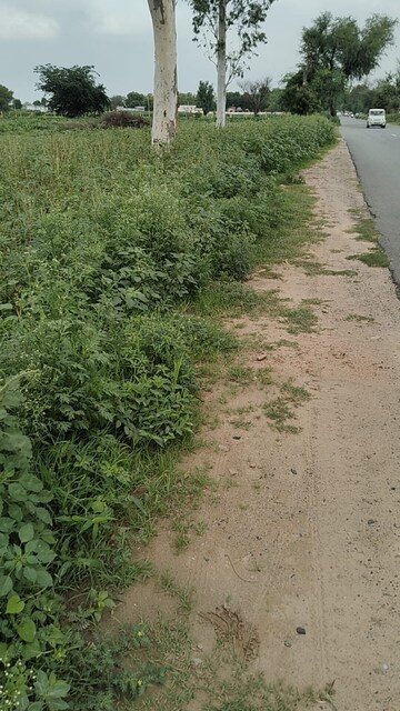 Plot Area in  Plot at Alwar Behrore Highway – for Sale