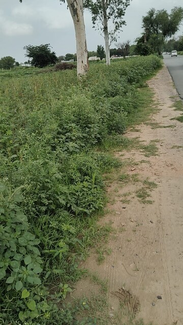 Plot Area in  Plot at Alwar Behrore Highway – for Sale