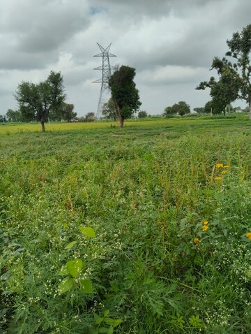  Plot For Sale in Alwar Behrore Highway