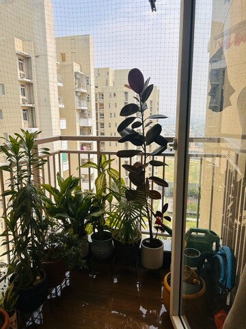 Gym in 4 BHK Apartment at DLF The Camellias, Sector 42 – for Rent