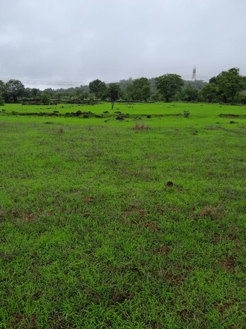  Plot For Sale in New Palam Vihar