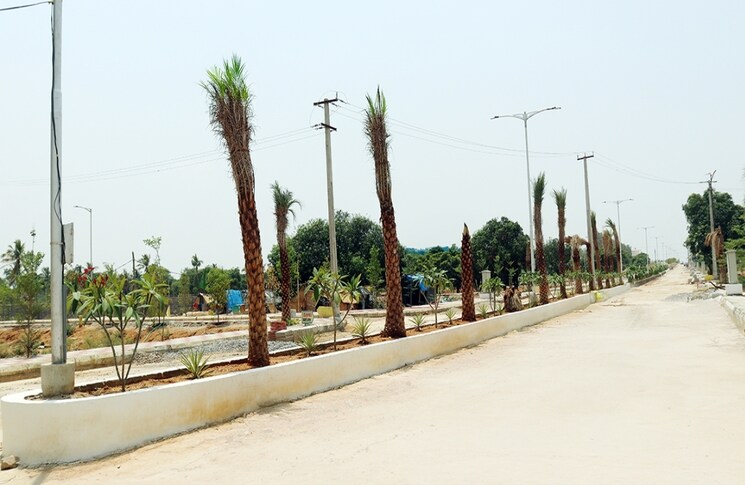 Exterior View, shadnagar  183 Sq.Yd. Plot In Shadnagar Hyderabad 8952805