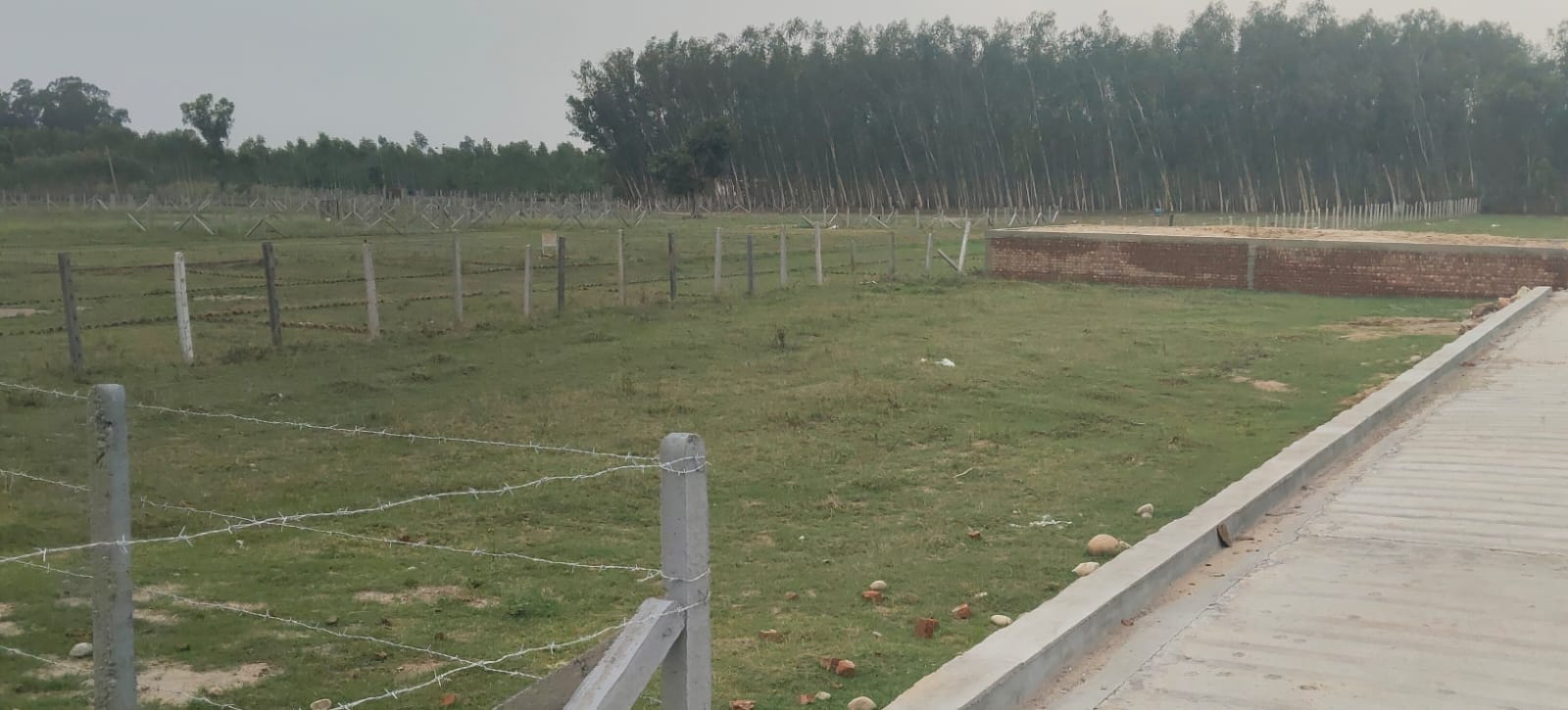 Plot For Sale in Bhopani