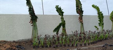  Plot – Garden View at S M Heights Turkayamjal, Turkayamjal - for Sale