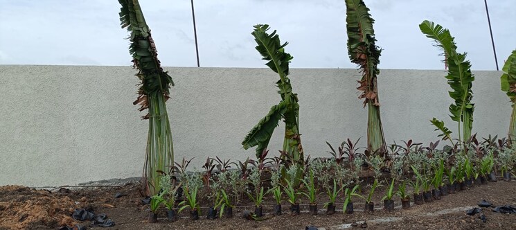 Garden, s-m-heights-turkayamjal  247 Sq.Yd. Plot In Turkayamjal Hyderabad 8952898