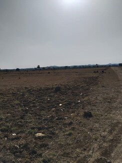 Plot For Sale in Nara