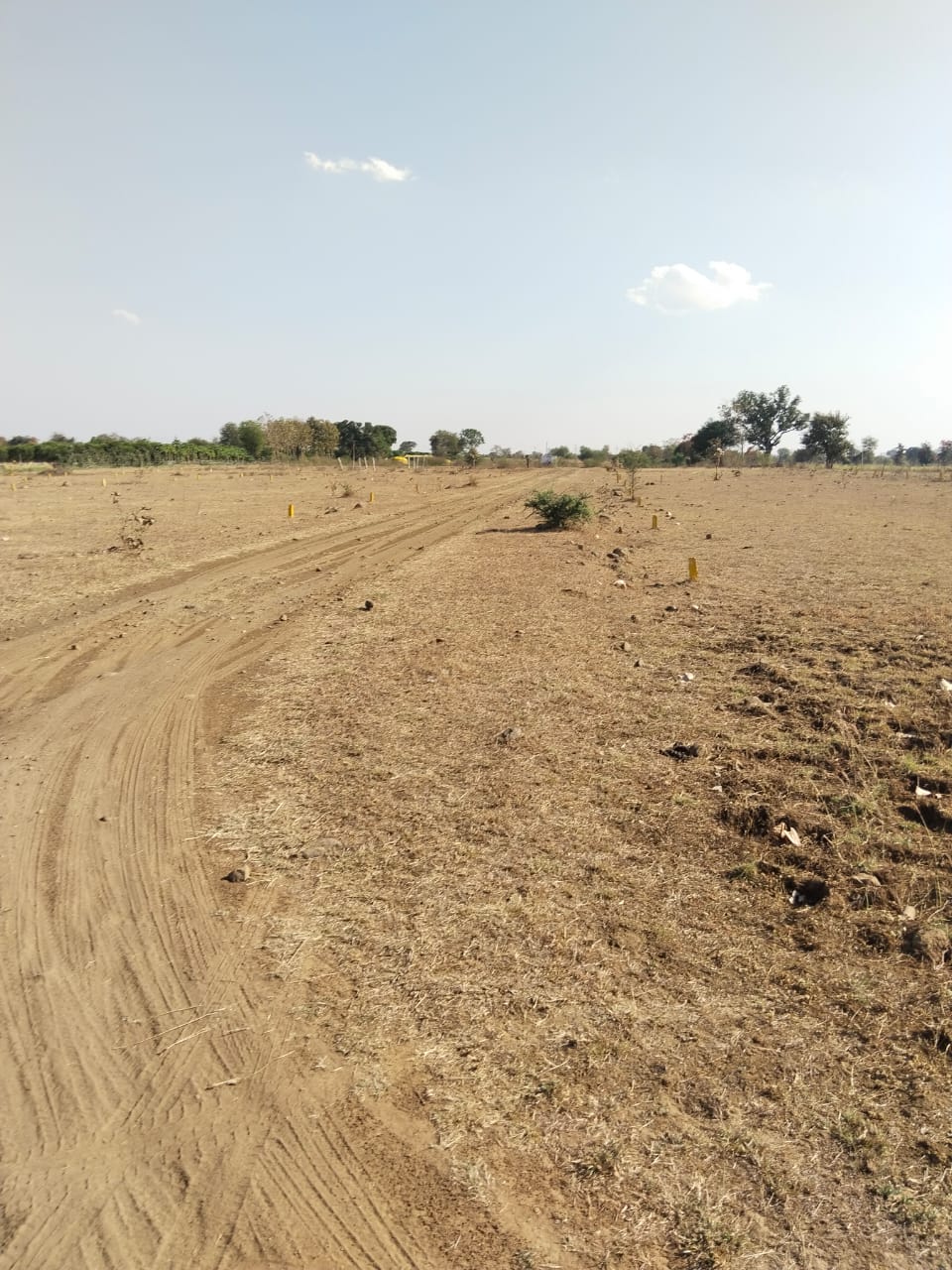 Plot For Sale in Shree Shyam Properties