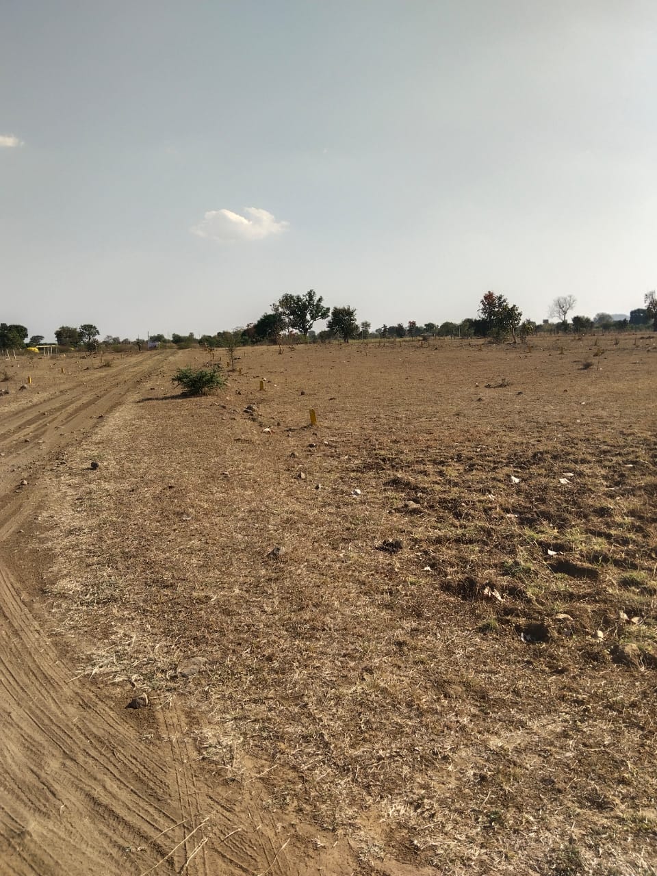 Plot For Sale in Shree Shyam Properties