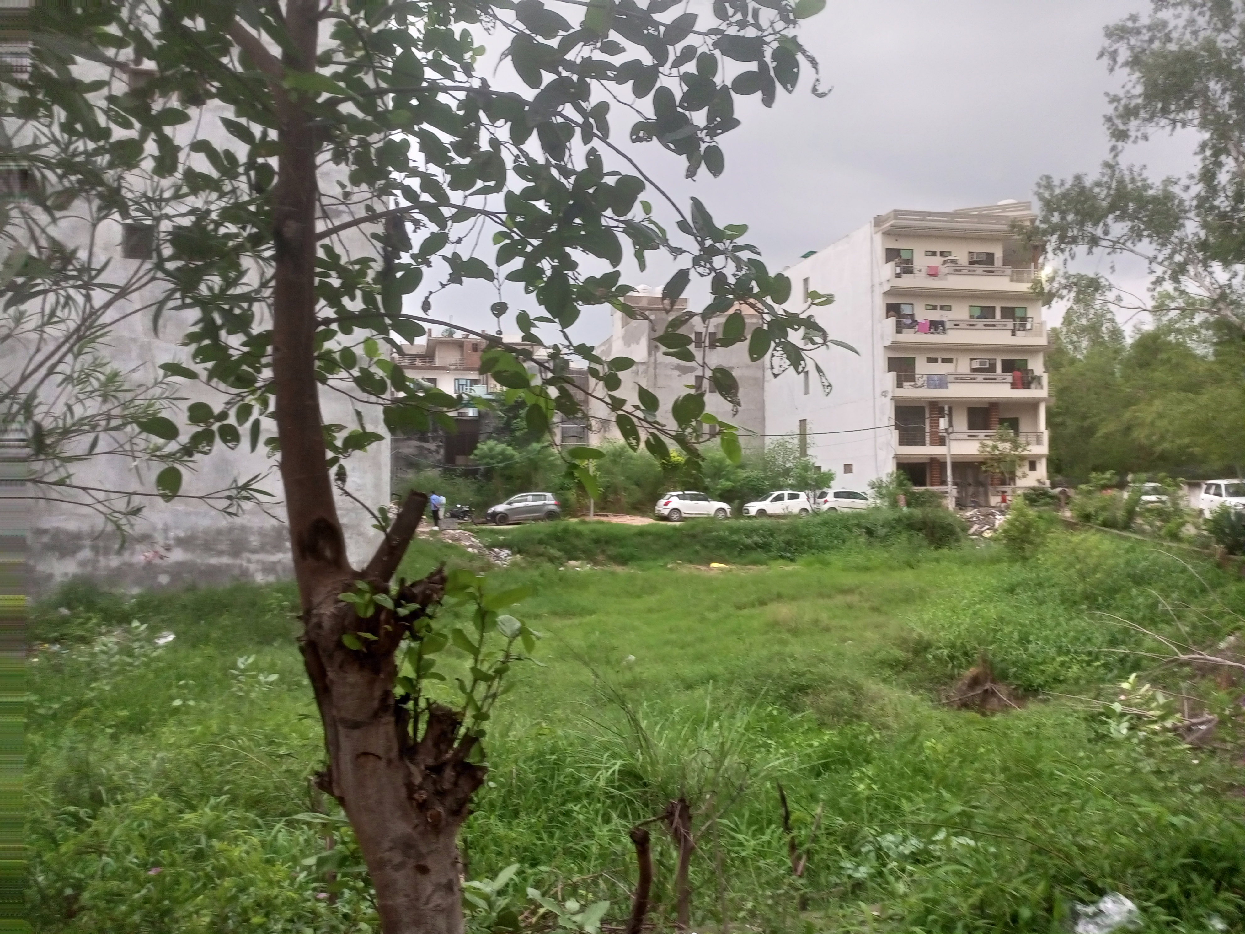 Plot For Sale in Sarin Farm CHS