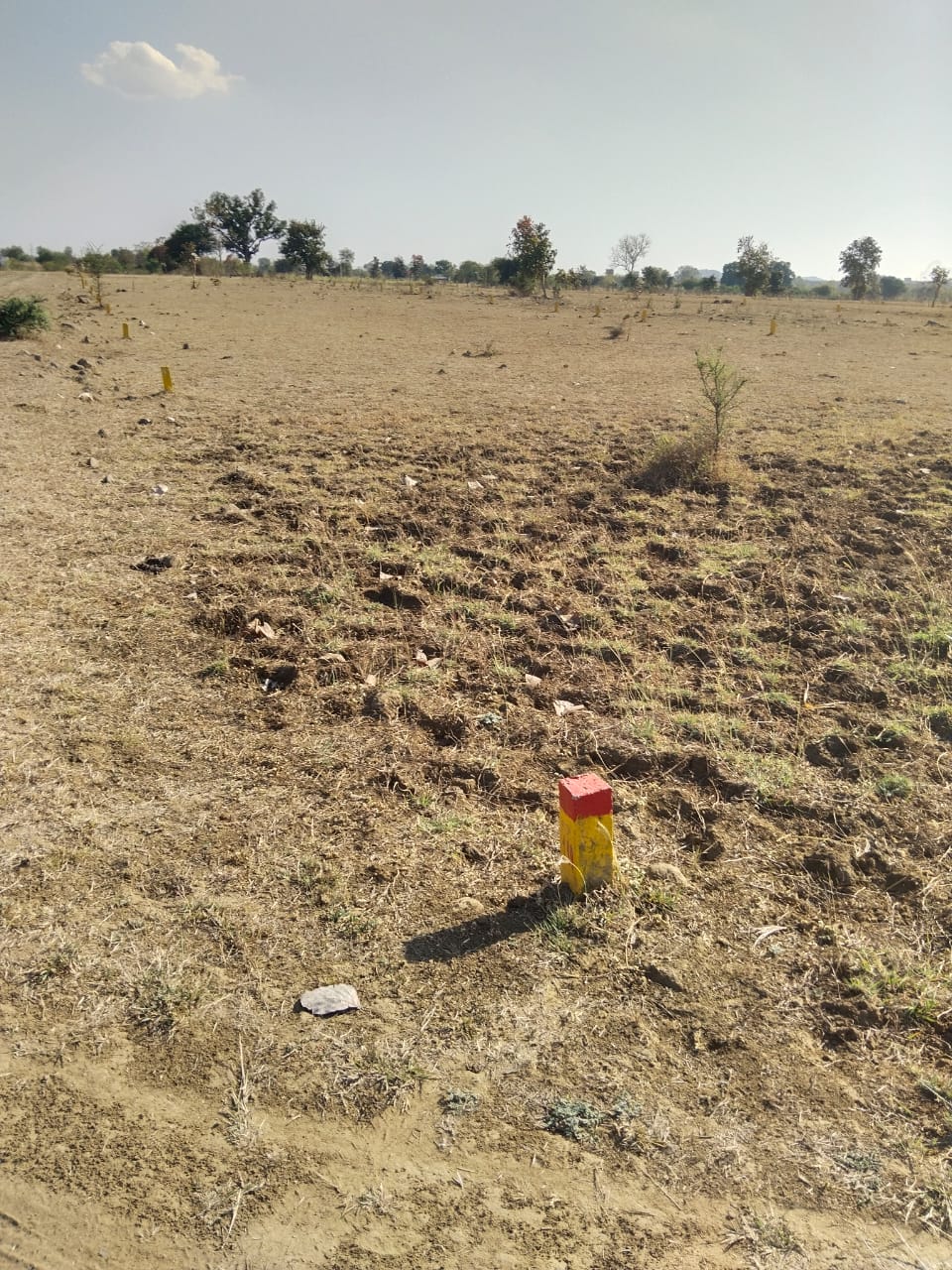 Plot For Sale in Shree Shyam Properties