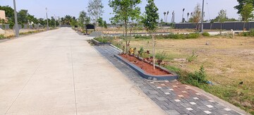 Plot Area in  Plot at Alundur – for Sale