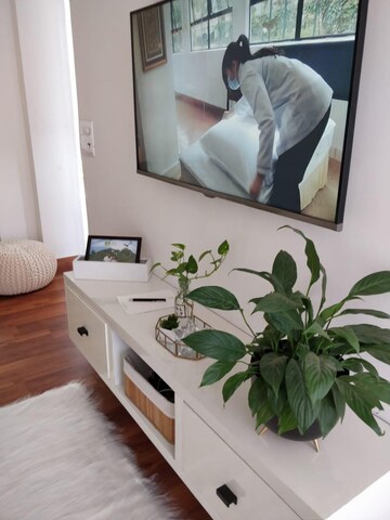Team Area in 2 BHK Apartment at DLF Silver Oaks, Sector 26 – for Rent