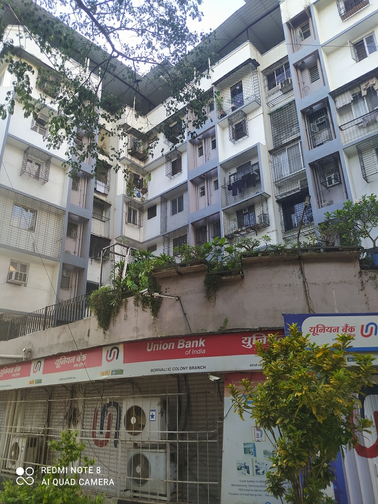 1 BHK Apartment For Rent in Royal Tower CHS Ltd