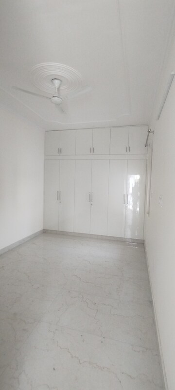 2 BHK Builder Floor For Rent in RWA Apartments Sector 19, Sector 19