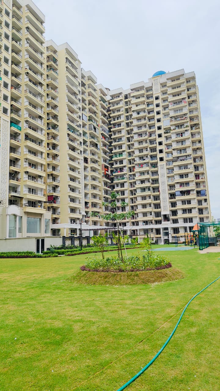 3 BHK Apartment For Sale in Alpine AIGIN Royal Phase 2