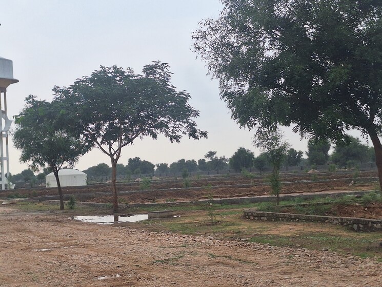 undefined, ajmer road  100 Sq.Yd. Plot In Ajmer Road Jaipur 8954712