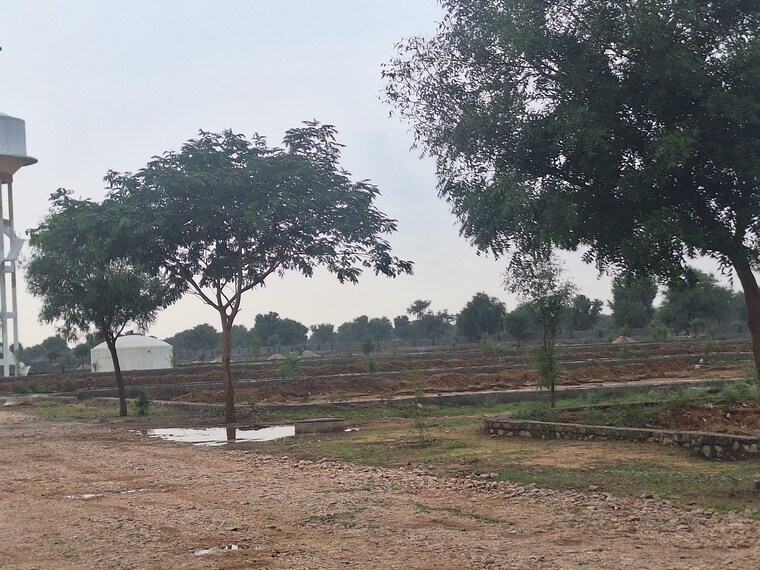 undefined, ajmer road  100 Sq.Yd. Plot In Ajmer Road Jaipur 8954712