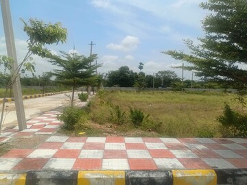 Plot Area in  Plot at Ecil – for Sale