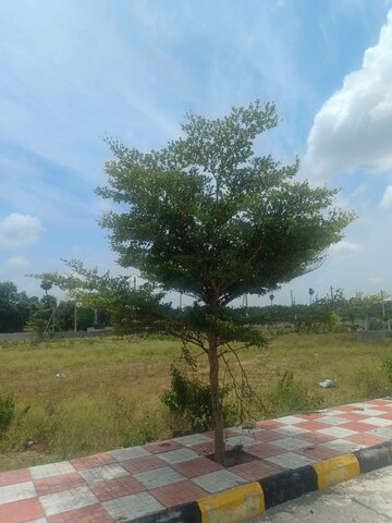 Plot Area in  Plot at Ecil – for Sale