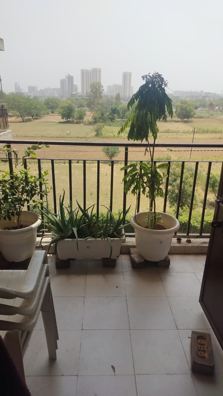 Team Area, signature-global-synera 1 Bedroom 432 Sq.Ft. Apartment In Sector 81 Gurgaon 8955028