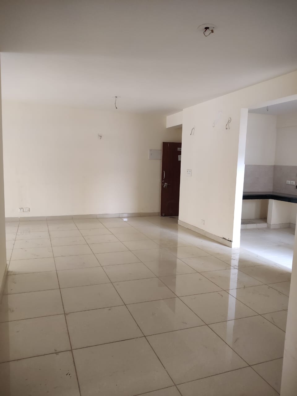 3 BHK + Pooja Room,Study Room Apartment For Rent in Dda Sector 19b