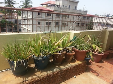 1 RK Independent House – Exterior View View at Rt Nagar - for Rent