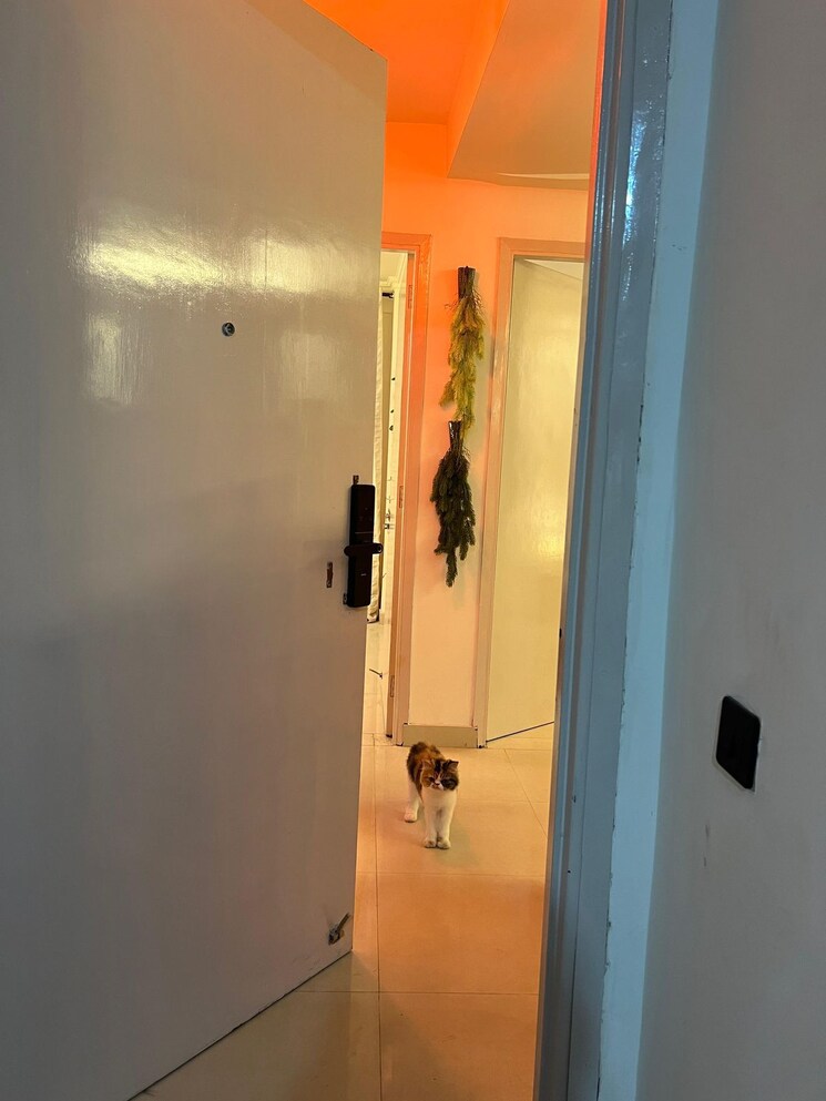 undefined, saket 2 Bedroom 900 Sq.Ft. Builder Floor In Saket Delhi 8955378