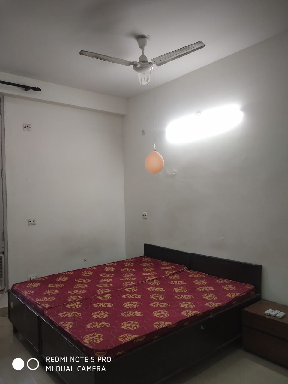3 BHK + Pooja Room Builder Floor For Rent in Sector 55