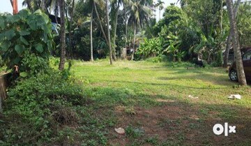 Plot Area in  Plot at Olarikara – for Sale