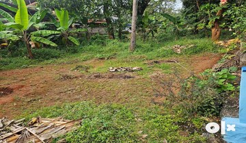 Plot Area in  Plot at Olarikara – for Sale