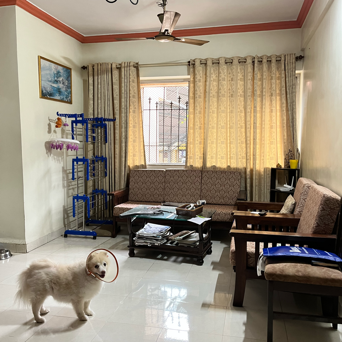 2 BHK 650 Sq.Ft. Apartment in New Brahmand Phase 7 CHS