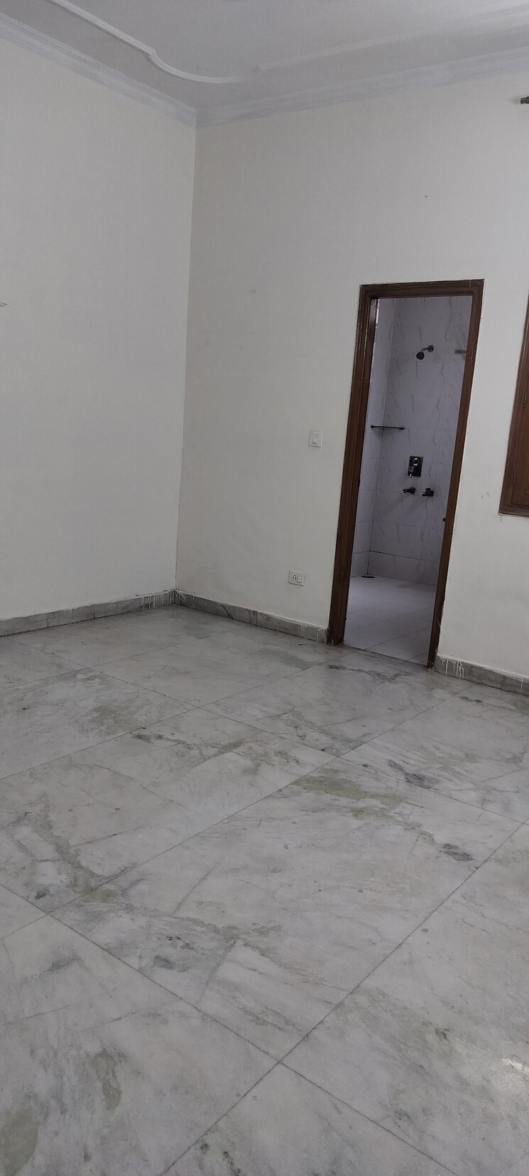 Room, rwa-apartments-sector-50 4 Bedroom 250 Sq.Mt. Independent House In Sector 50 Noida 8955811