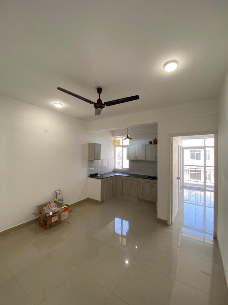 1 BHK Apartment For Rent in AVL 36 Gurgaon