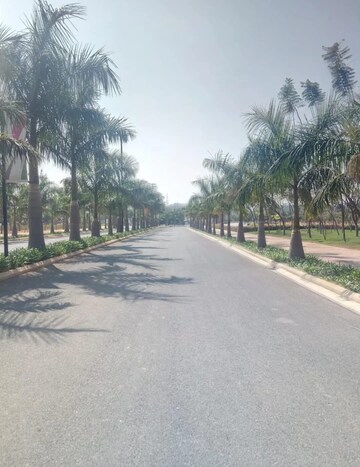 Plot Area in 4 BHK Villa at Embassy Springs Plots, Devanahalli – for Sale