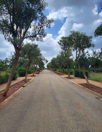 Plot Area in 4 BHK Villa at Embassy Springs Plots, Devanahalli – for Sale