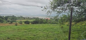  Plot For Sale in Nagalwadi