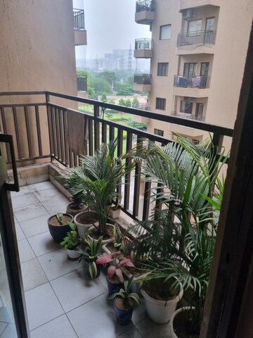 Balcony in 3.5 BHK Apartment at Ardee City Palm Grove Heights, Sector 52 – for Rent