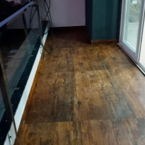 Balcony in 3 BHK Builder Floor at Sector 49 – for Sale