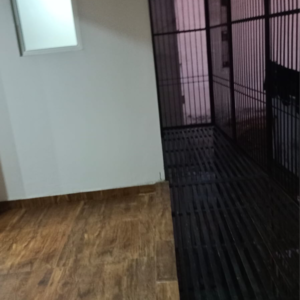  3 BHK Builder Floor at Sector 49 – for Sale