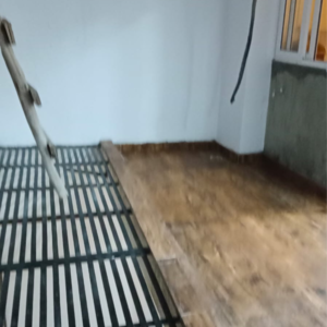  3 BHK Builder Floor at Sector 49 – for Sale