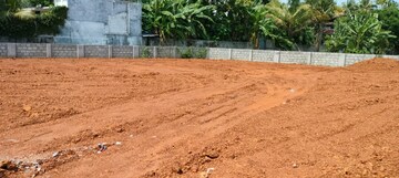 Plot Area in  Plot at Avenue Road – for Sale