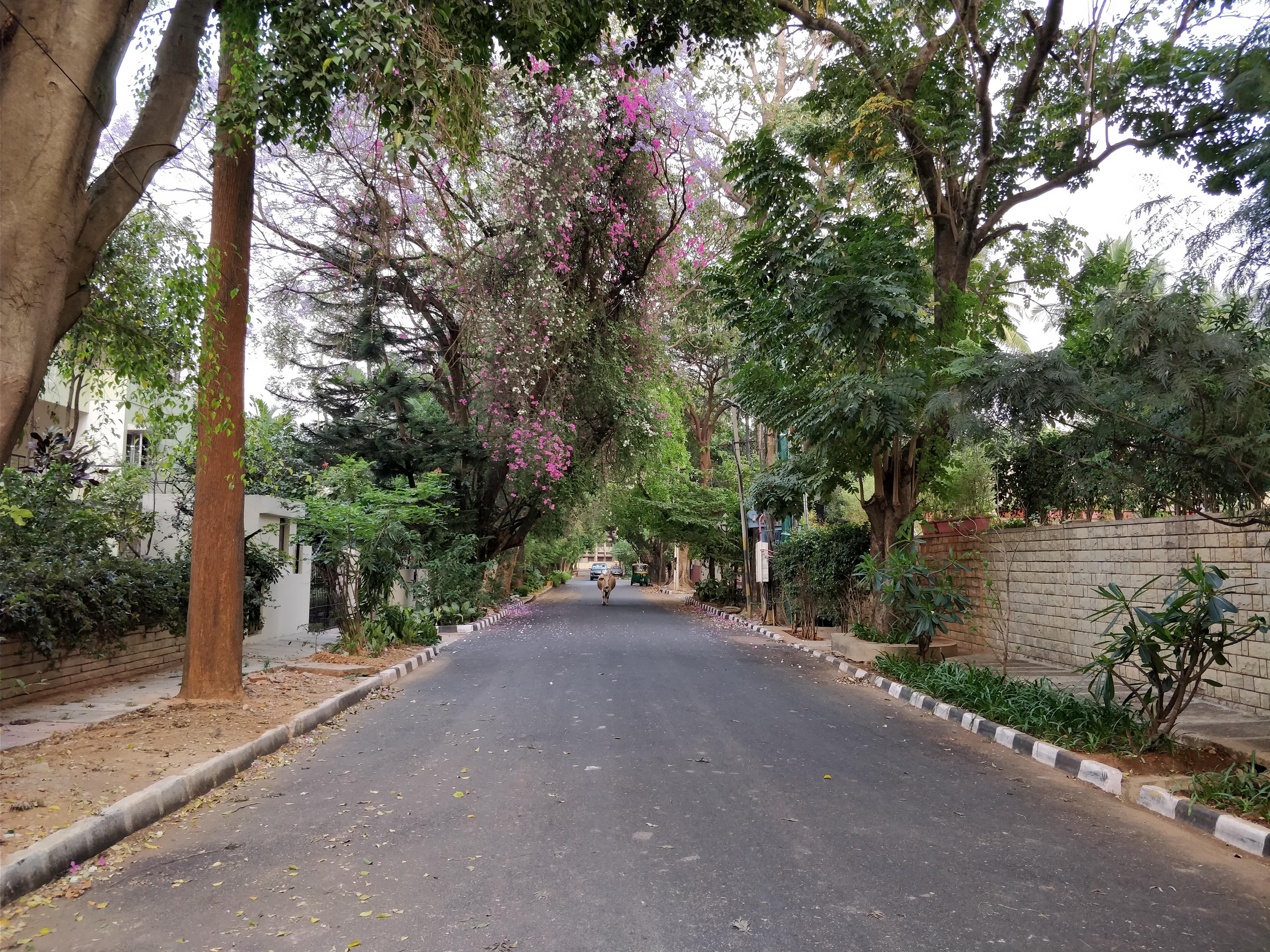 Plot For Sale in Koramangala